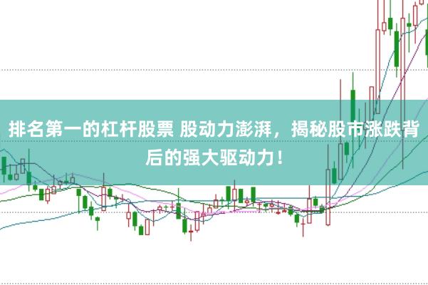 排名第一的杠杆股票 股动力澎湃，揭秘股市涨跌背后的强大驱动力！