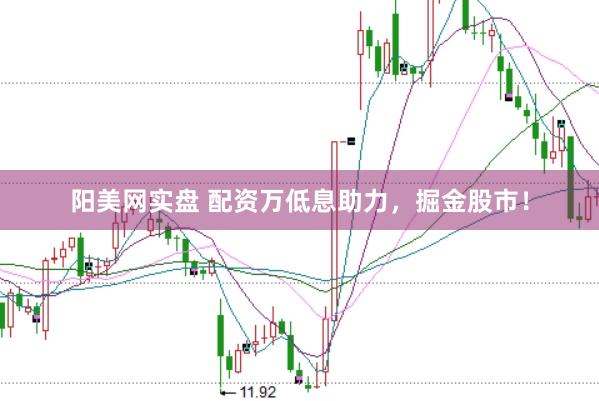 阳美网实盘 配资万低息助力，掘金股市！