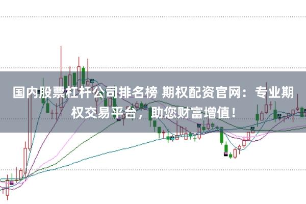 国内股票杠杆公司排名榜 期权配资官网：专业期权交易平台，助您财富增值！