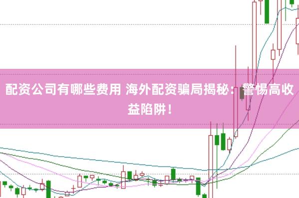 配资公司有哪些费用 海外配资骗局揭秘：警惕高收益陷阱！