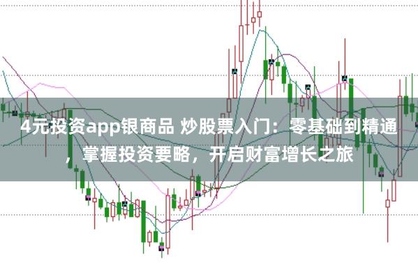 4元投资app银商品 炒股票入门：零基础到精通，掌握投资要略，开启财富增长之旅