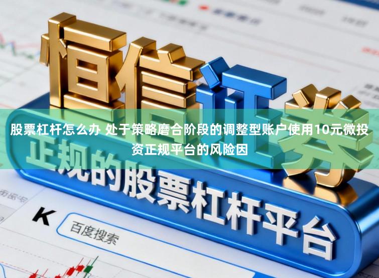 股票杠杆怎么办 处于策略磨合阶段的调整型账户使用10元微投资正规平台的风险因