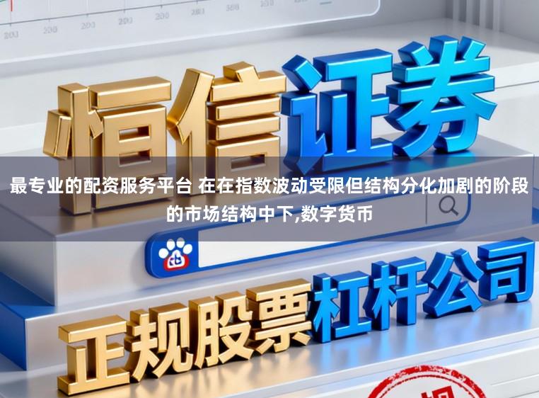 最专业的配资服务平台 在在指数波动受限但结构分化加剧的阶段的市场结构中下,数字货币