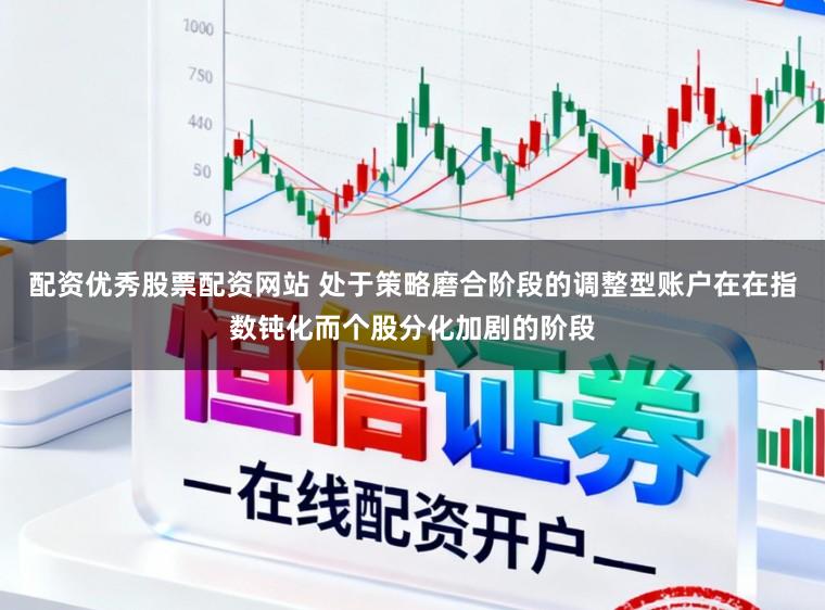 配资优秀股票配资网站 处于策略磨合阶段的调整型账户在在指数钝化而个股分化加剧的阶段